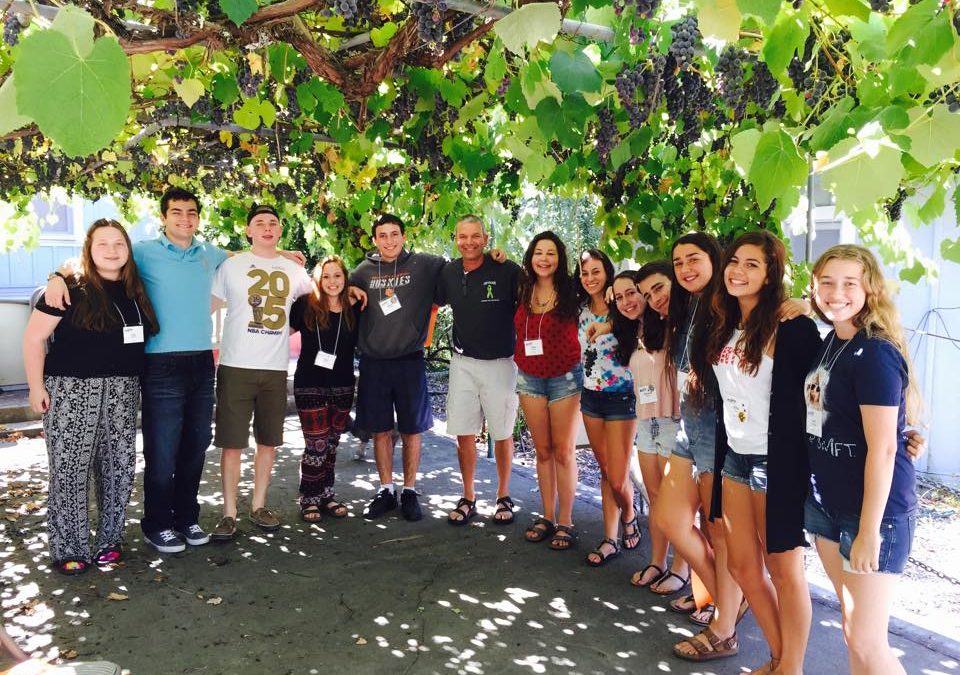 How a Sukkah, Camp & NFTY Create Shelters of Joy