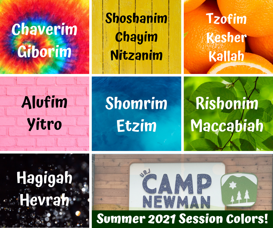 Copy of Session Colors