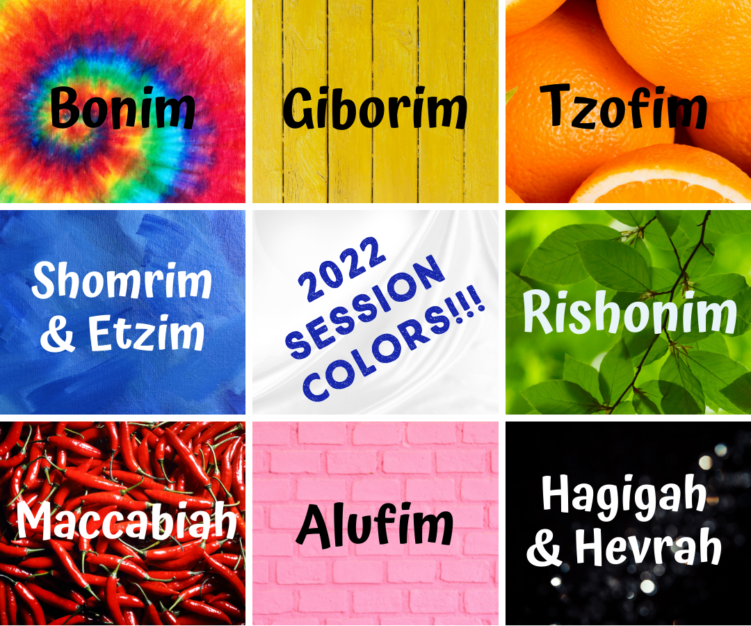Copy of Session Colors (1)